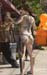 Body Painting 2004 photo - Duval Street, Key West